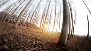 Sunset Flow / FPV Freestyle