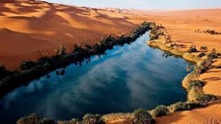 عادل عبد المجيد - جرح الهوى ( الواحة 2 )