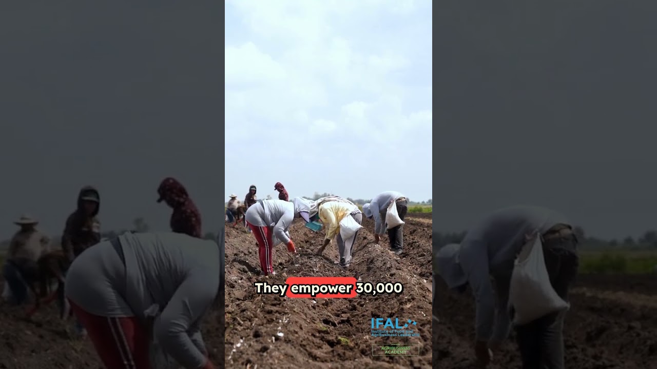 Agrocrops Business Model: Transforming the Global Peanut Supply Chain 