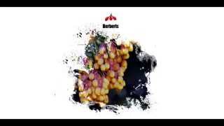 Vanleer - Naiada Original Mix