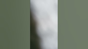 القران الكريم