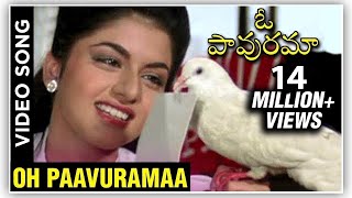 Oh Paavuramaa Video Song | Prema Paavuraalu (Maine Pyar Kiya) | Salman Khan | Bhagyashree Resimi