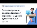 Развитие речи и орфографической зоркости на уроках русского языка