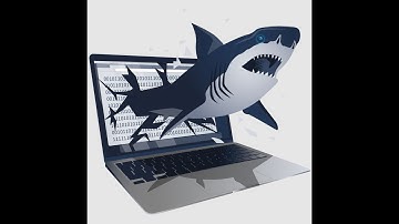 TShark: The Basics Walkthrough Tryhackme | SOC Level 1 Path 22 + 1  (New Page) |  #tryhackme