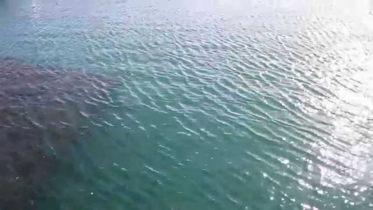 citycell La Gomera Jan 2014