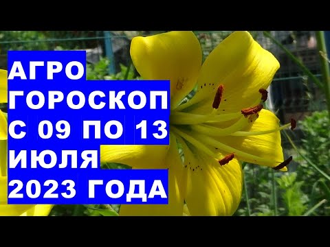 Видео: Може ли димът да навреди на растенията: справяне с дима от горски пожари в градините