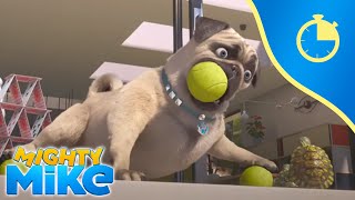 30 minutes of Mighty Mike 🐶⏲️ // Compilation #10 - Mighty Mike