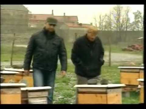 ფუტკრის პროდუქტები Chveni Ferma 03 -Mefutkreoba Part 1