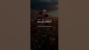تلاوة مریحة لقلبك♥️|سورة آل عمران🎧 #تلاوة_القران #تلاوة_هادئة #سورة_آل_عمران #quran #راحة_نفسية