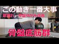 10分で理解できる【骨盤底筋群】を締める動き！尿漏れ・骨盤ゆがみ改善