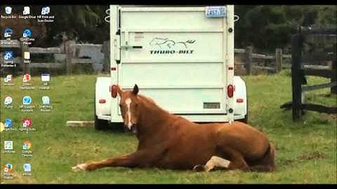 HS760 Presentation iSpring Suite 8