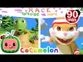 Tale of tortoise and the hare   animals for kids  animal cartoons  learn about animals