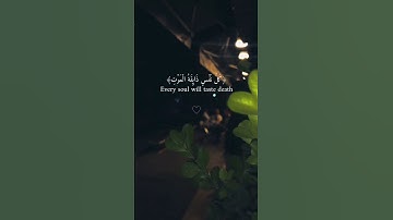 سورة العنكبوت| الشيخ عبدالرحمن مسعد #القارئ_عبدالرحمن_مسعد #كرومات_قرآن #سورة_العنكبوت