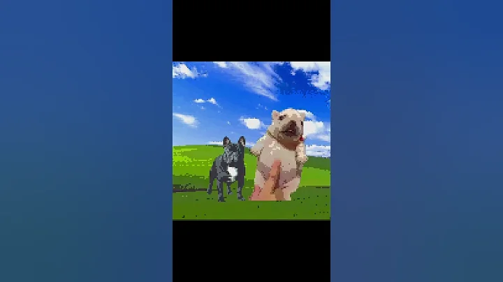 Pibble edit #phonkagressive #viral #edit #fypシ゚viral #pibble #dog