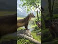 Fossile de nouveaux carnivores en Inde #géologie #science #fossile #paleontology #paléontologie