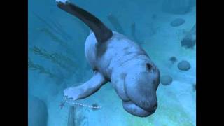 Ocean Rift (Vive) Comfort Mode Swimming