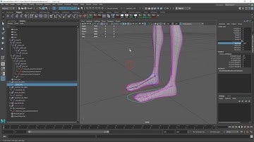 Awesome Foot Roll Setup