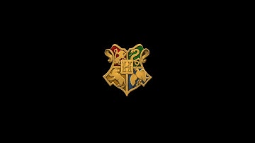 Hogwarts Mystery: Transfiguration Class with Professor Minerva McGonagall