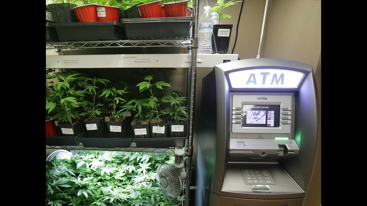 Why Should We Invest In Potcoin