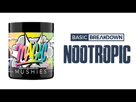 Magic Mushies Nootropic Supplement Review | Basic Breakdown