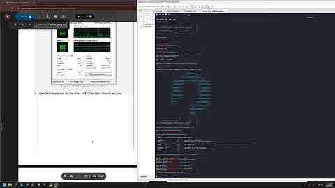 Lab 10 1 SYN Flooding Attack using Metasploit