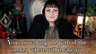 You are walking the path of the seeker, where will it take you     tarot reading