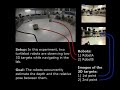 A framework for depth estimation a relative localization of ground robots using computer vision