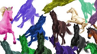 Every Old Town Road remix played at once