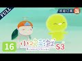 小黄和小青发现了一块漂亮的石头 | 《小鸡彩虹》第三季 EP16 Rainbow Chicks