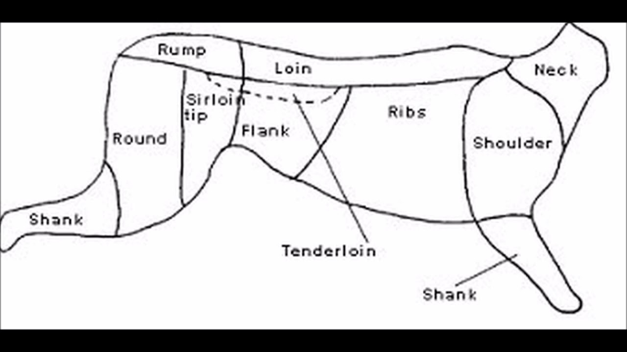 Moose Meat Cutting Chart