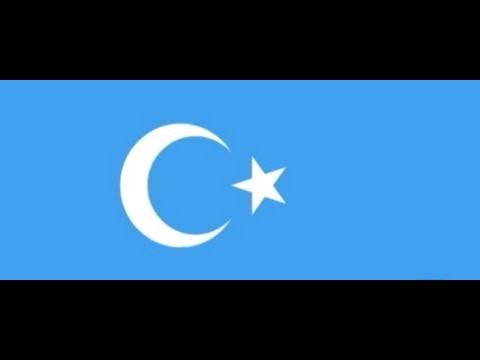 الصين من هم الويغور
