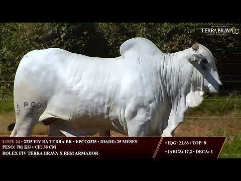 LOTE 24   EPCO 2325