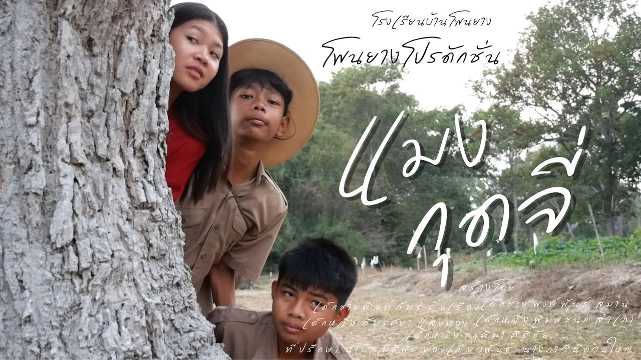 แมงกุดจี่ รร.บ้านโพนยาง Full