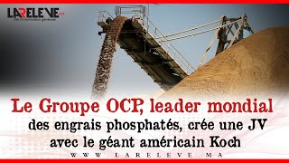 le groupe ocp, leader mondial des engrais phosphatés, crée une jv avec le géant américain koch