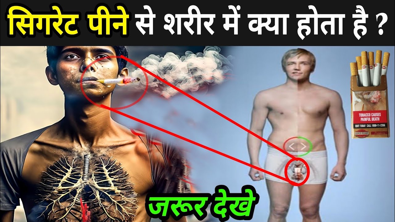 सिगरेट पीने से शरीर में क्या होता है ? | How Smoking Kills Your Body