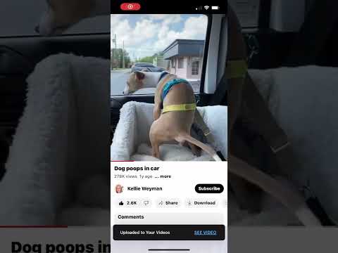 Video: Pet Scoop: NASCARi draiver toetab loomade julmust, loomaaed Apes Video-vestlus iPadide kaudu