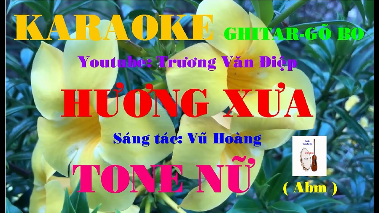 Karaoke Hương Xưa Tone Nữ Gõ Bo | Trương Văn Điệp