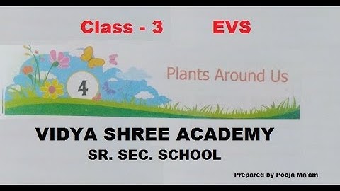 EVS | Class 3 | Plants Around Us