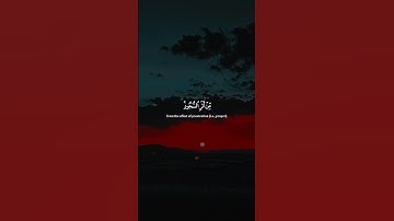 اكتب شيء تؤجر عليه 💚😴 قران كريم | ياسر الدوسري