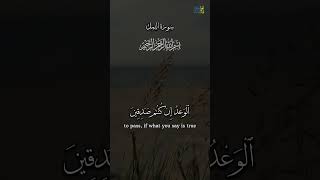 ولا تحزن عليهم ولا تكن في ضيق مما يمكرون #بلال_دربالي #تلاوات_خاشعة #راحة_نفسية #دين_الاسلام