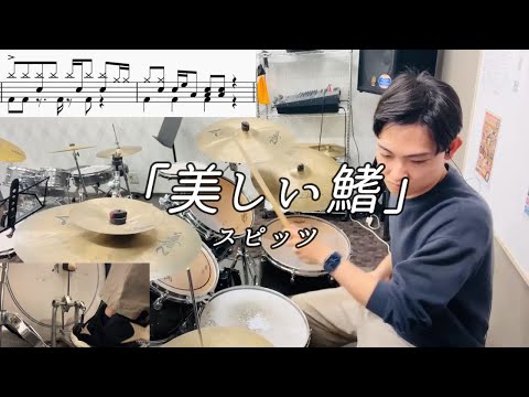 【スピッツ】美しい鰭(Short ver.)叩いてみた【無料ドラム譜データあり】【リクエスト】