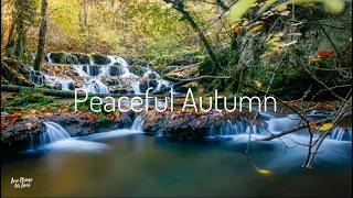 Flowing Through Autumn | Cascading Forest Waterfall in Fall Colors | 3 Hours of Pure Relaxation 🍂