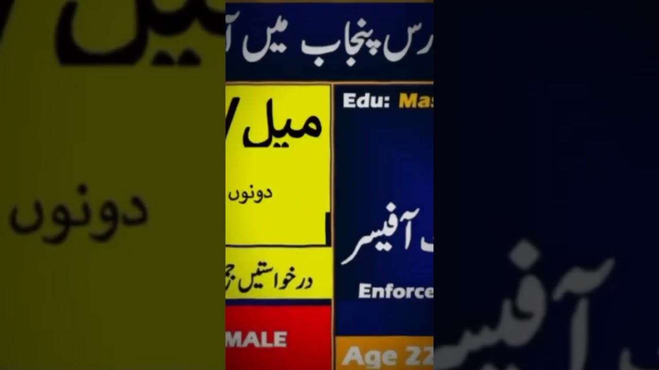 *New Jobs in Punjab Police PERA | Apply Now | Enforcement Officer | 