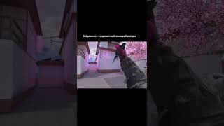 Жалко.. #шедевростандоффчик #standoff2 #Sp1rit