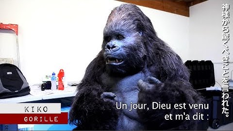 【6月27日までの限定公開！】映画『神様メール』ゴリラインタビュー映像