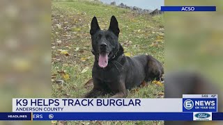 ‘A terrible life choice’ K9 tracks burglary suspect in Anderson County