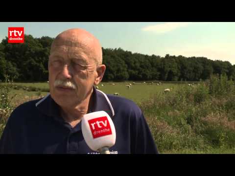 TV-ster Dr. Pol voor even terug in Drenthe