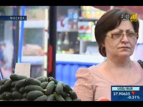 Кишечная палочка E.coli Кишечная палочка E.coli