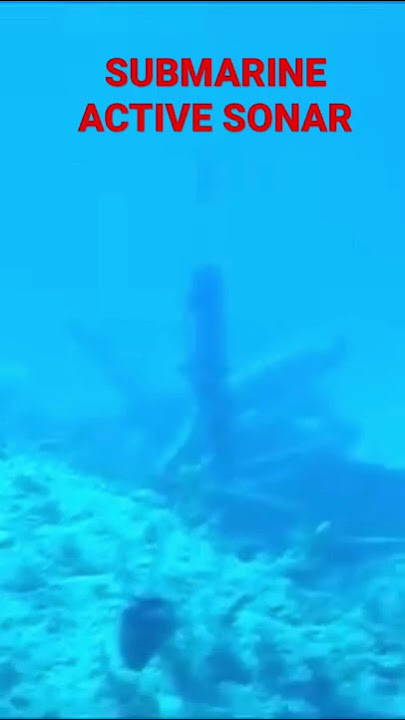 Deafening Military Submarine Active Sonar Ping