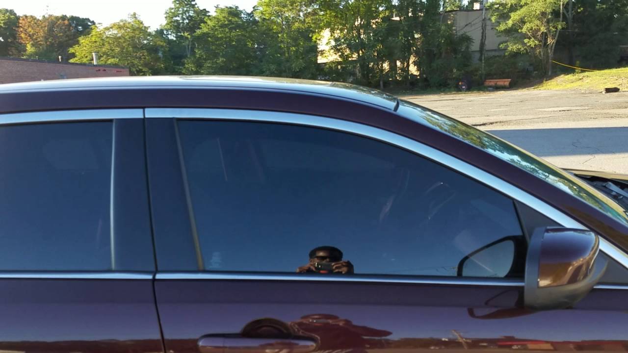windshield tint strips How long berfore walnut tree matures
